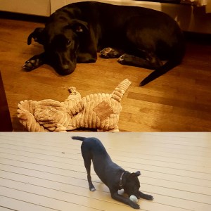 img_20161223_185734_569