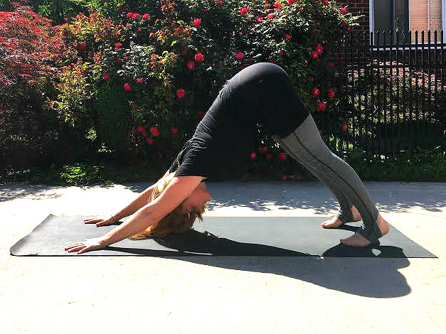 Yoga Pose Downward Dog