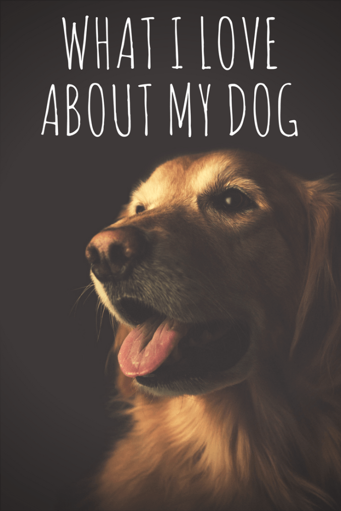 What I Love About my Dog