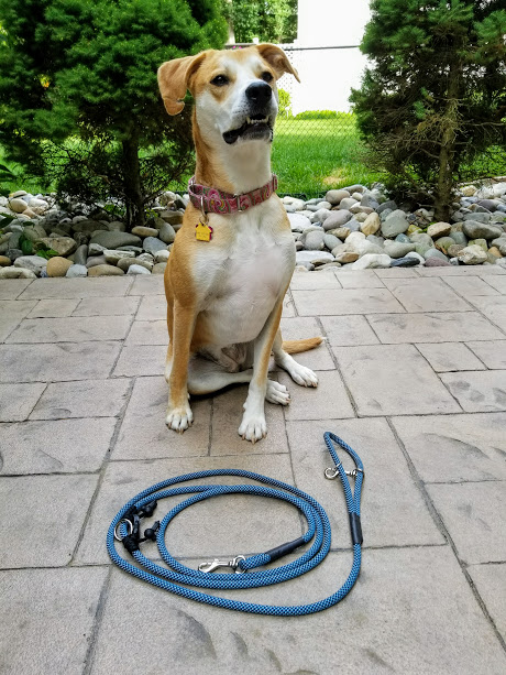 Ruff Rescue Rope