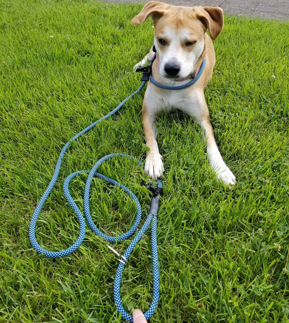 Ruff Rescue Rope