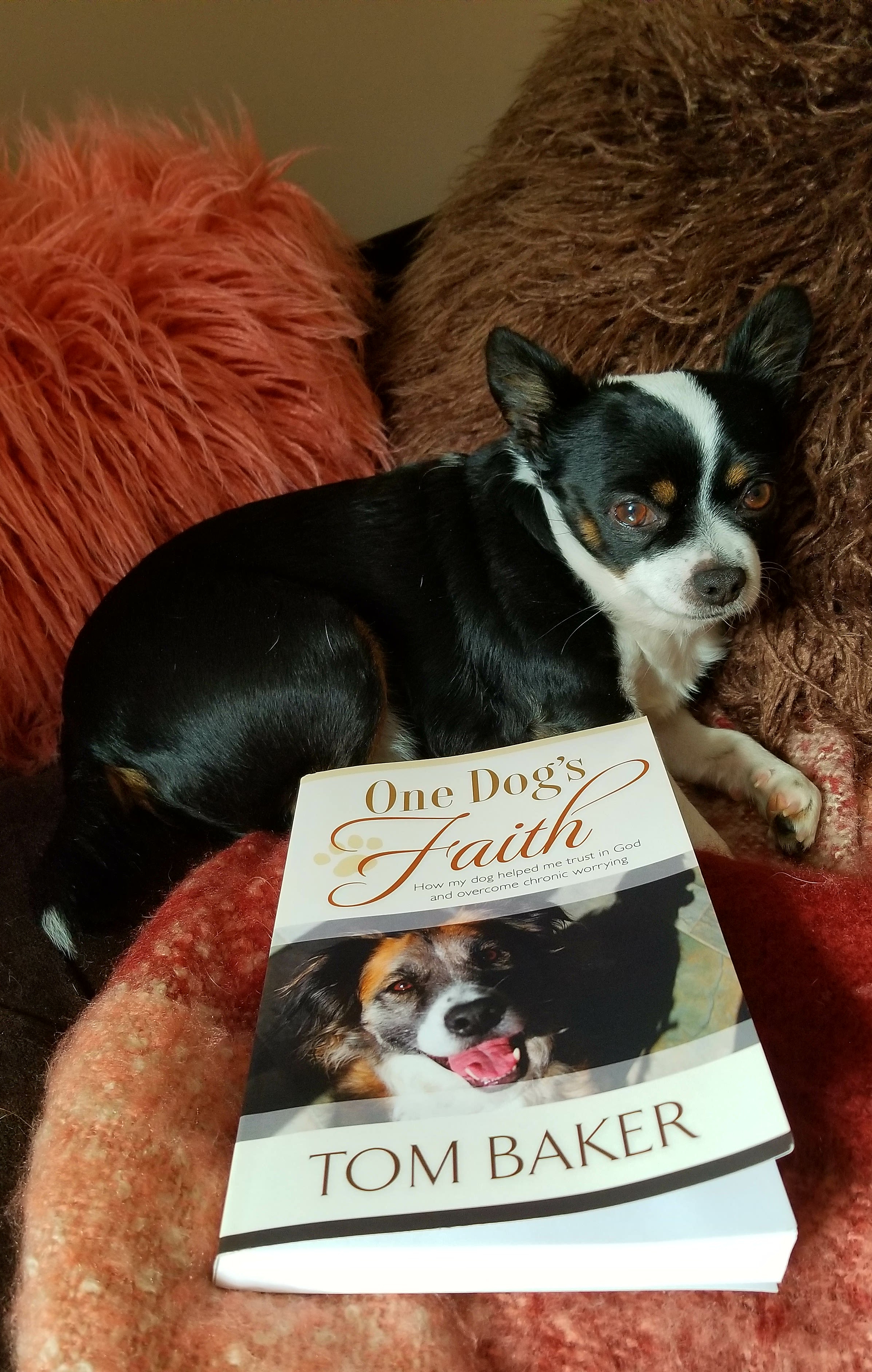 One Dog's Faith by Tom Baker