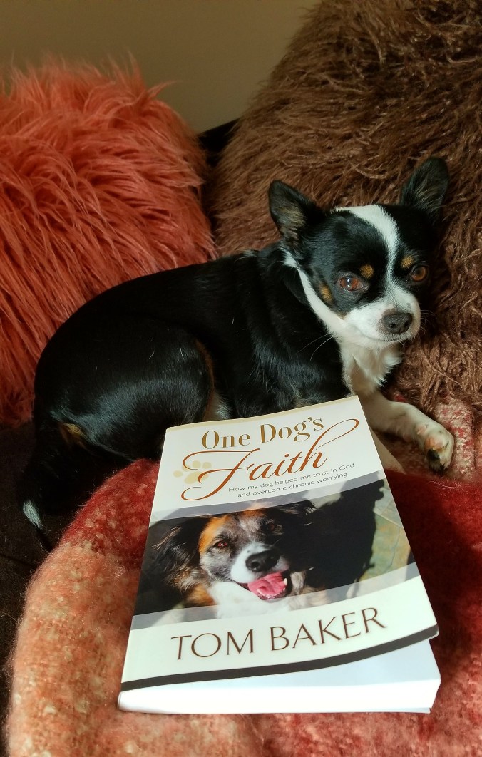 One Dog's Faith by Tom Baker