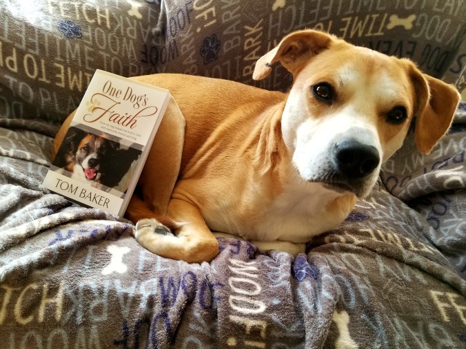 One Dog's Faith by Tom Baker