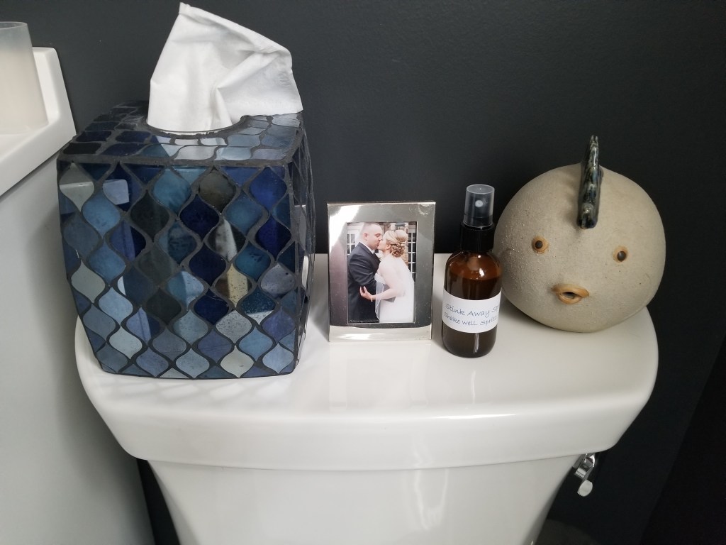 DIY Citrus Stink Away&nbsp;Spray