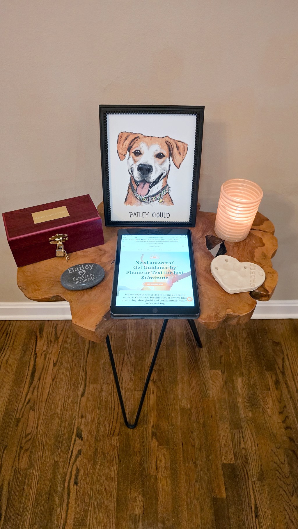 Exploring How a Psychic Reading Can Bring Comfort and Closure After the Loss of Our Beloved Rescue Dog, Bailey